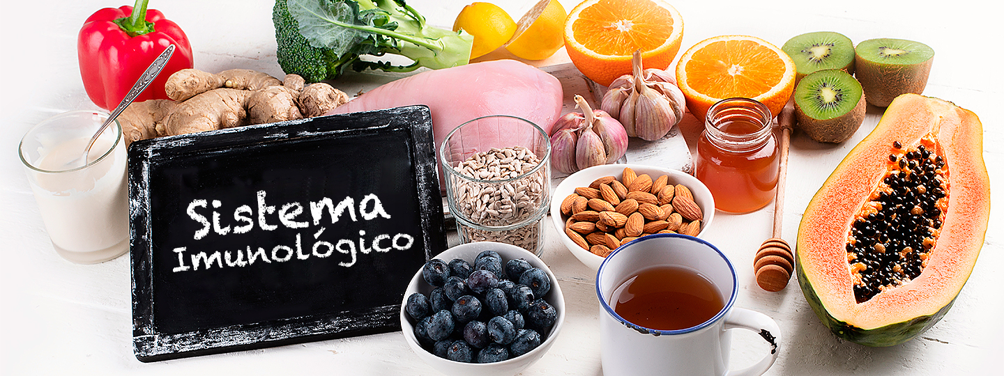 Aspectos gerais do sistema imunológico e suas funções – Parte 2