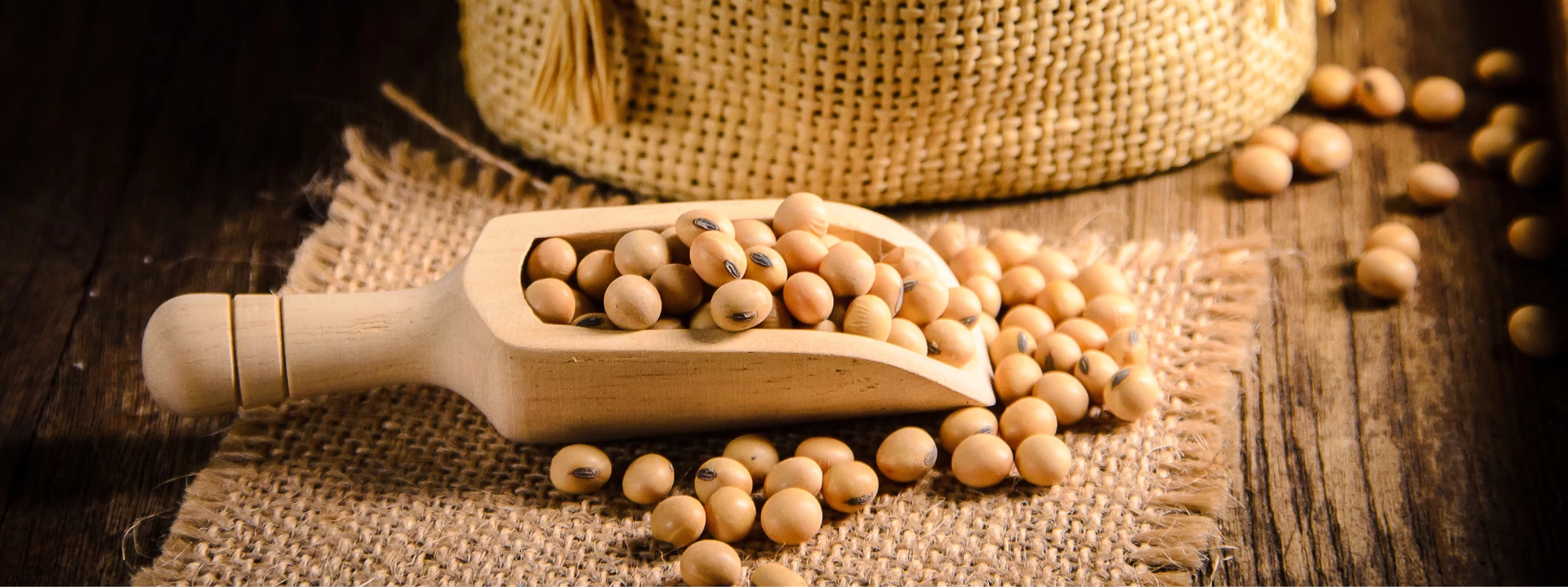 Lecitina de soja: para que serve?