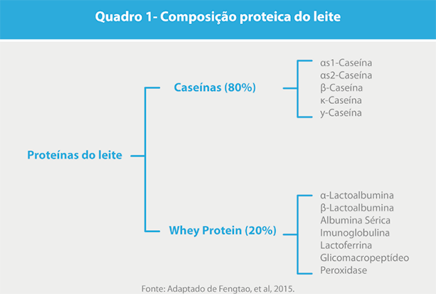 Atualizações científicas sobre proteínas do leite